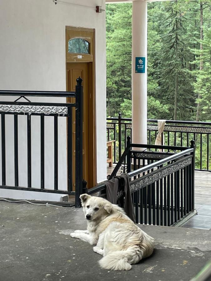 Wabi Sabi Riverside Hostel Kasol Extérieur photo